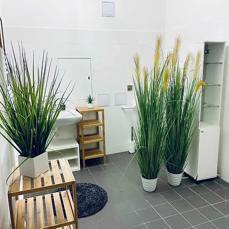 Campea Business Apartment *